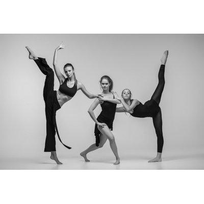 Ballet Dancers - Photographie sur toile tendue