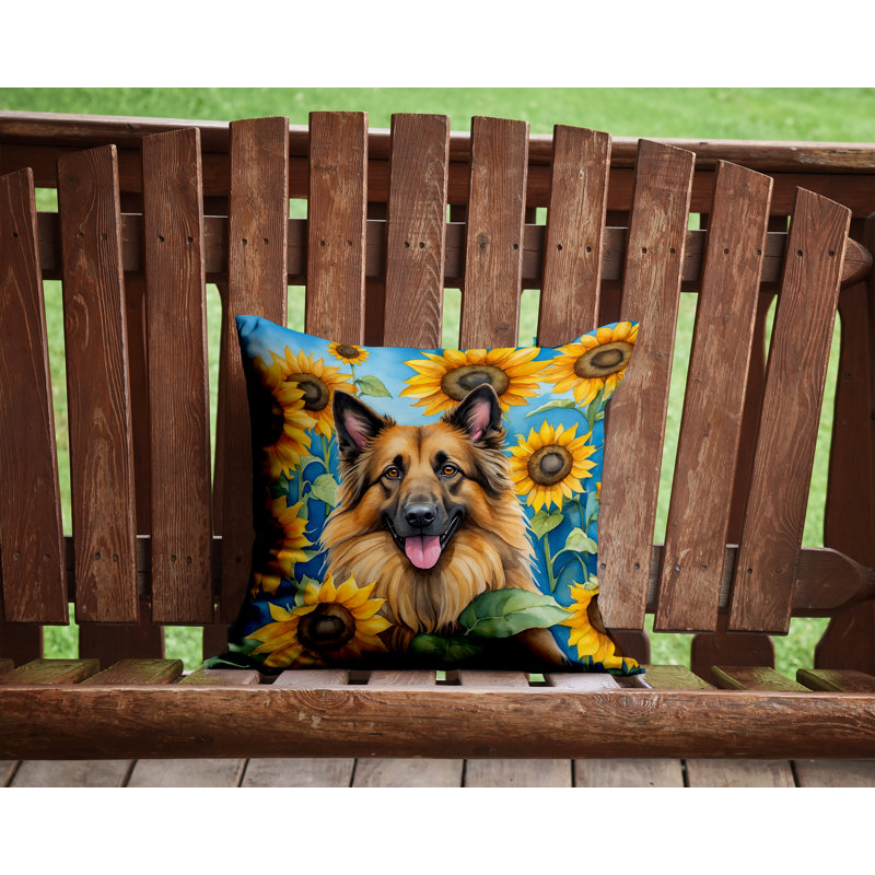Other/No Pattern Outdoor Throw Pillow, 14"H x 14"W