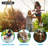Climb & Slide Playset