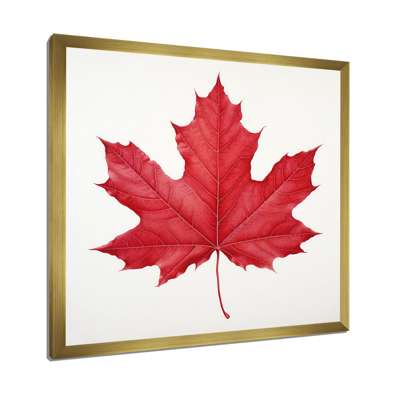 Feuille d'érable écarlate Simplicity II, H 30 po x l 30 po x P 1 po, Cadre doré simple