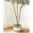 71" Faux Olive Tree, Tall Artificial Olive Tree with Dense Silvery-Green Leaves and Realistic Trunk, Potted Floor Plant for Living Room Bedroom Office Home Decor-273535329