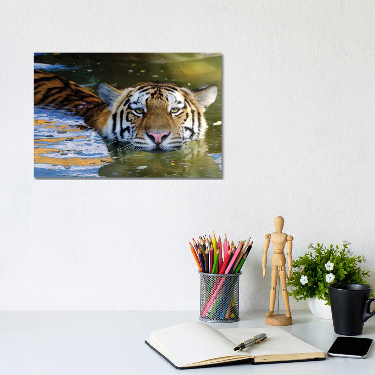 Tiger VI by Goran Anastasovski - Wrapped Canvas Print