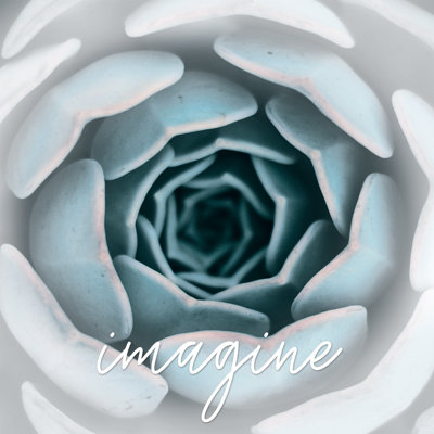 Imagine Subtle Succulent - Wrapped Canvas Print