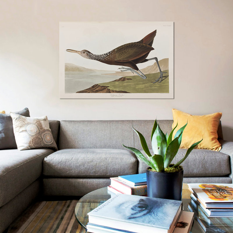« scolopaceus courlan », impression sur toile, H 26 po x l 40 po x P 1,5 po, Non mat, Toile tendue