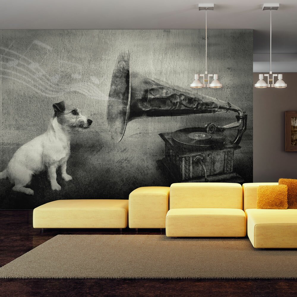 Fototapete Dog's melodies 231 cm x 300 cm