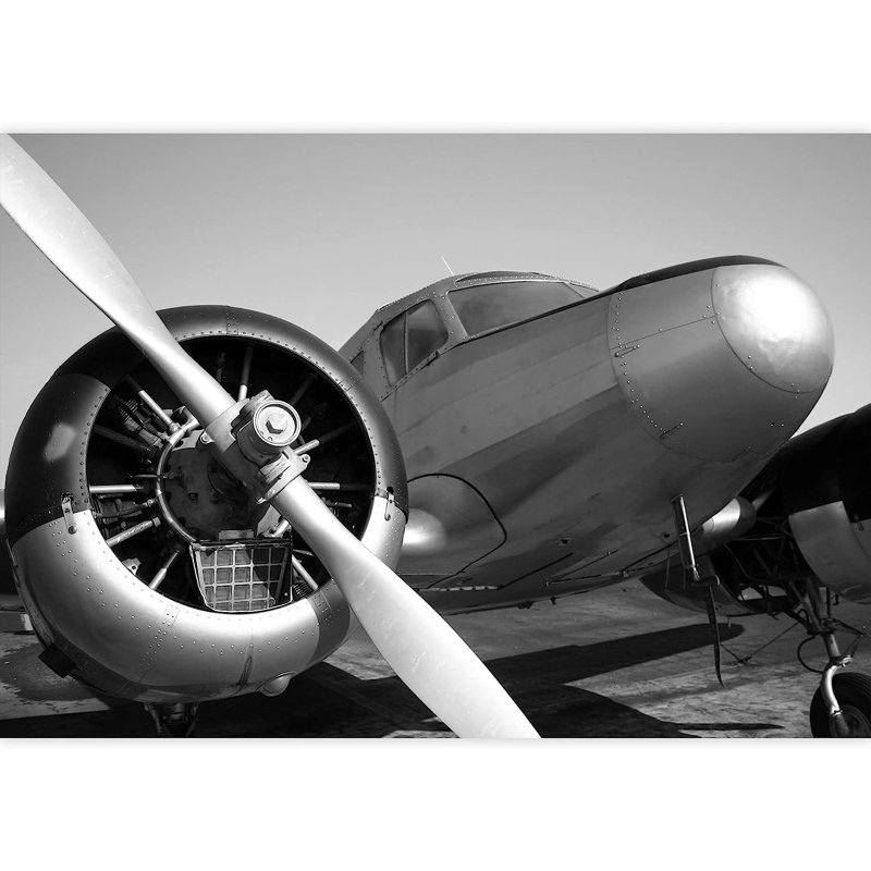 Murale à peindre rétro avion bimoteur, L 66 po x l 96 po