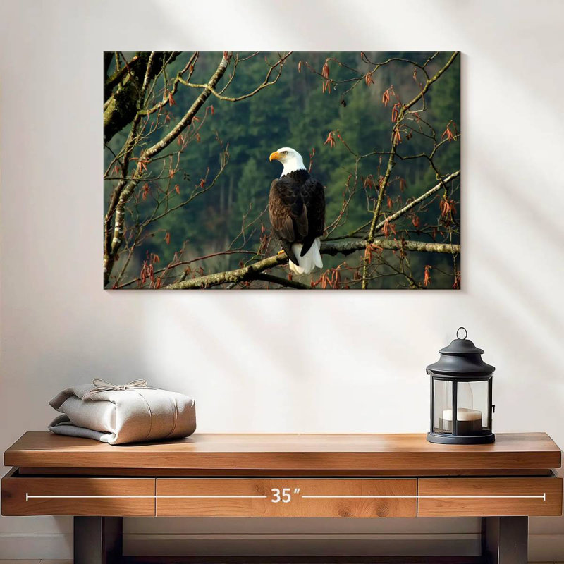 Brampt Perched Canadian Bald Eagle, 16" H x 24" W