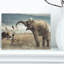 «Lady» avec impression d'éléphant-19410176