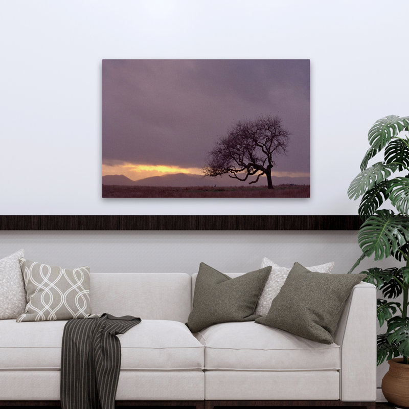 Champ - paysages, arbres, photographie, H 32 po x l 48 po