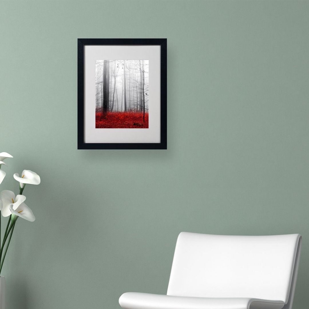 'Little Red Carpet' by Philippe Sainte-Laudy Framed Photographic Print Trademark Fine Art Frame 