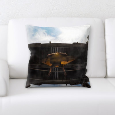 Go Pro Microsuede Reversible Throw Pillow