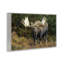 «Bull Moose Face Off Giclee» par Shane Lamb-1875895966-1875895962