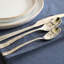 Soprano 20 Piece Flatware Set, Set of 4