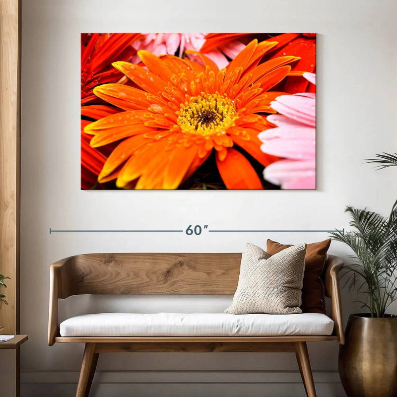 Dewy Orange Daisy, 32" H x 48" W