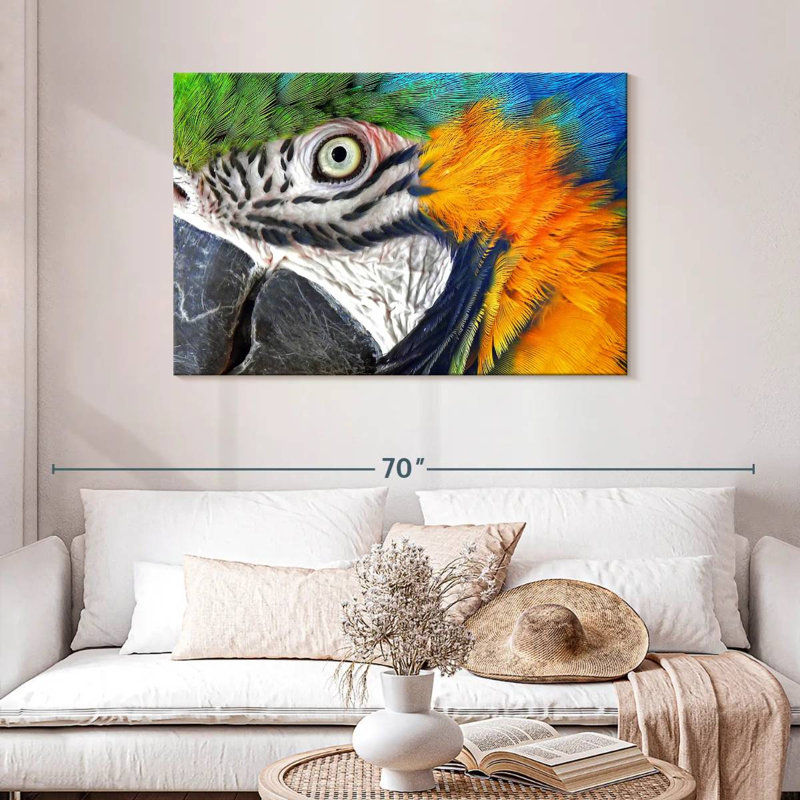 Brampt Macaw Eye, H 30 po x l 45 po