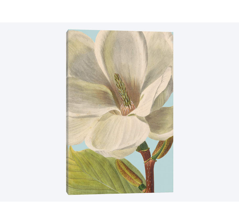 «Fresh Florals I», impression sur toile, H 18 po x l 12 po x P 1,5 po, Toile tendue