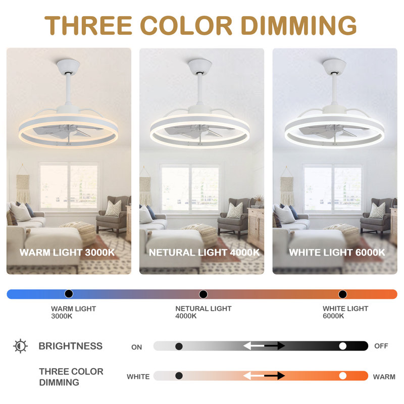 Chantrice 24" Reversible LED Ceiling Fan with Light and Remote, 6-speed Dimmable Ceiling Fan, White