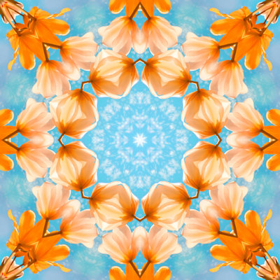 Flower mandala Wall Art on Canvas