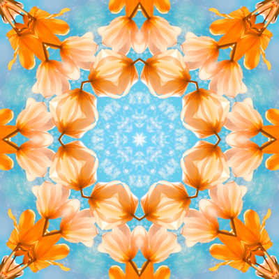 Mandala fleur