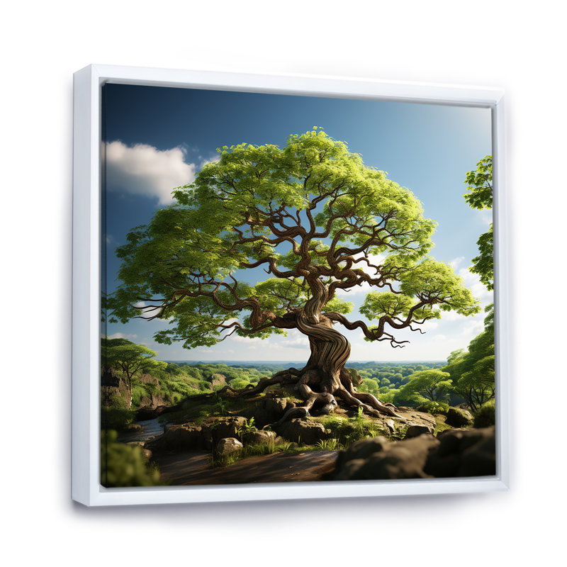 «Maple Tree With Graceful Curves I», reproduction d'art sur toile, Cadre flottant blanc, H 30 po x l 30 po x P 1 po