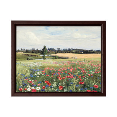 Champ avec coquelicots et marguerites