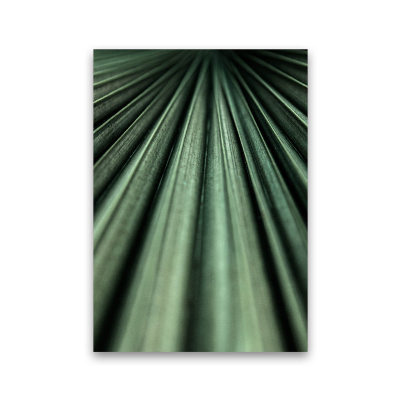Green Palm Leaf by Victoria Frost - Print, Unframed, 30cm H x 21cm W x 1cm D