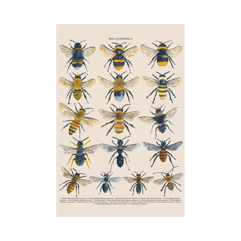 Bees by Michelle Campbell - Wrapped Canvas Print, 66.04 cm H x 45.72 cm W x 3.175 cm D