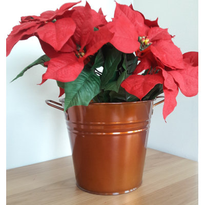 Jardinière de Noël