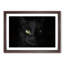 Black Cat with Green Eyes in Abstract - Picture Frame Graphic Art Print-55686375-55686379