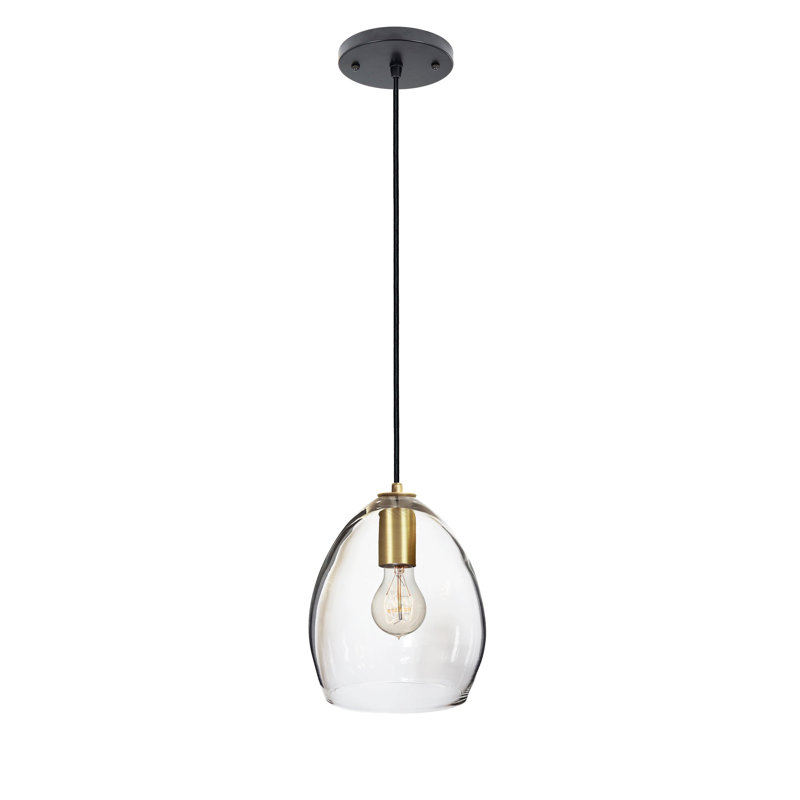 1 - Light Pendant, Clear, Black/Brass, Yes