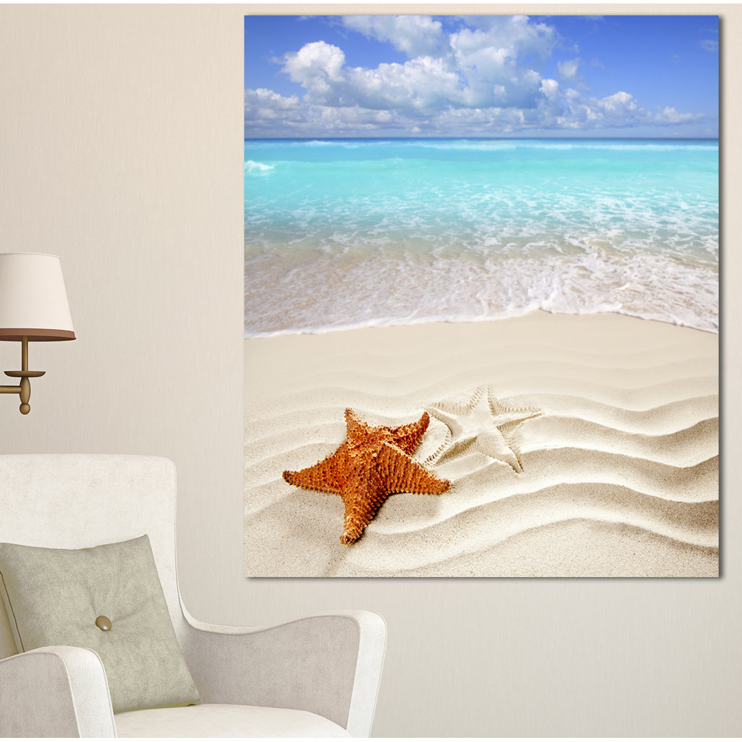 " Brown Starfish On Caribbean Beach " Design Art 