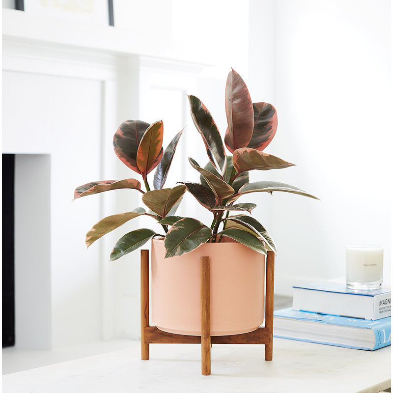 Riverside Handmade Ceramic Pot Planter, Peachy Cotta/Teak, 8.7" H x 9.5" W x 9.5" D