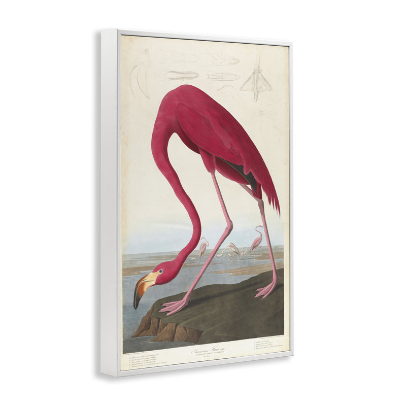 Classic American Flamingo White Framed Giclee Art, 12 x 18