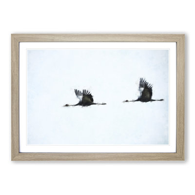 Flying Crane Birds - Framed Print