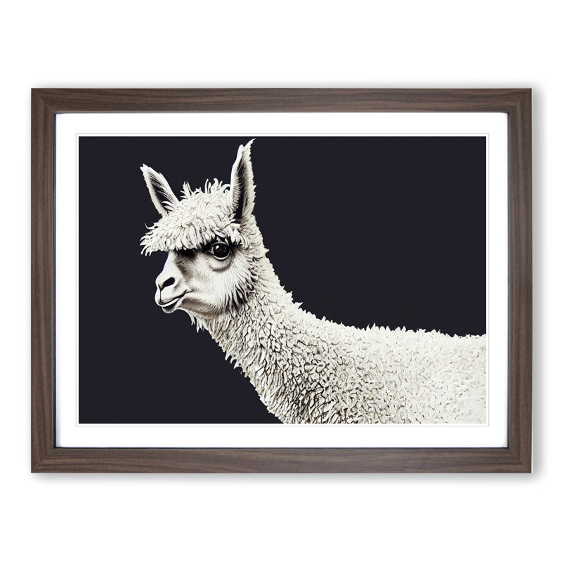 Portrait Of A Llama - Single Picture Frame Print, Walnut, 25cm H x 34cm W x 2cm D