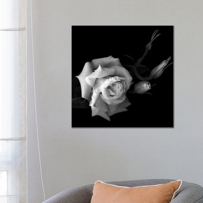 Lisianthus, B&W by Magda Indigo - Wrapped Canvas Print