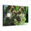 No Frame Print on Canvas-1194459840