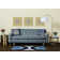 Malwae Chenille Oriental Indoor Rug