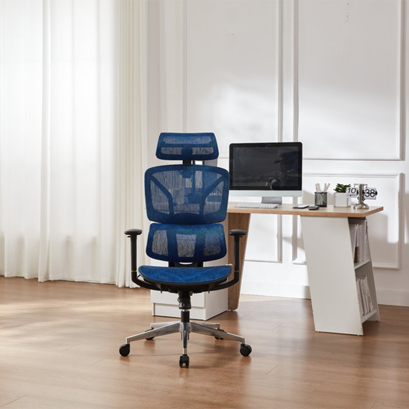 Demani Office Chair with Headrest