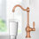 Robinet d'eau potable Nauxus
