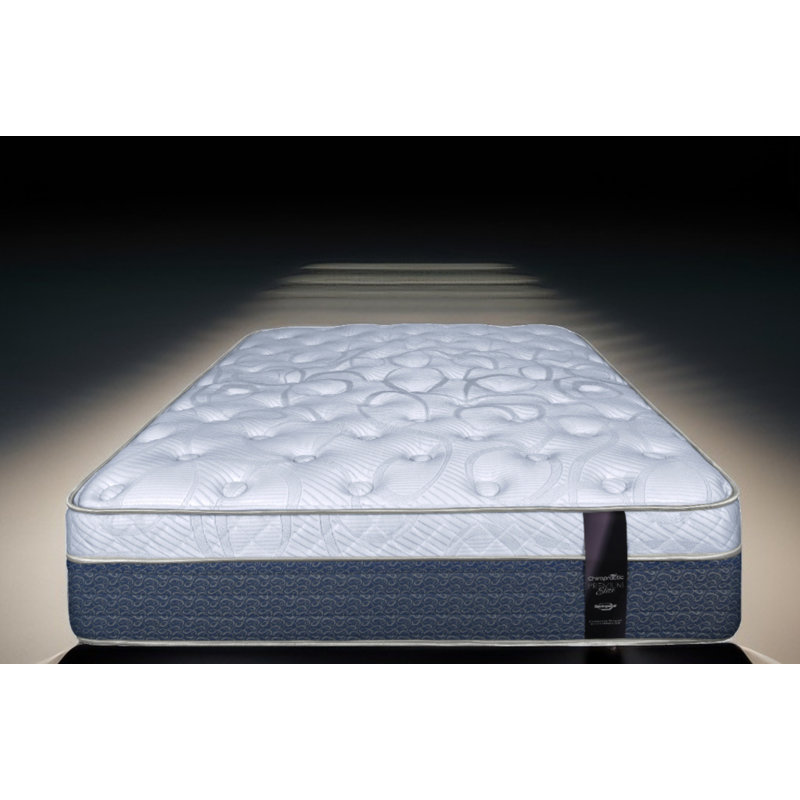 RV Evy Euro Top Plush Queen