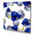 Toile tendue sélectionné