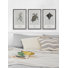 Gurdon Aetobatus Narinari by Marmont Hill - 3 Piece Single Picture Frame Painting Set