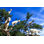 Argan Trees and Goats par Underw World111 - Photographie sur toile tendue