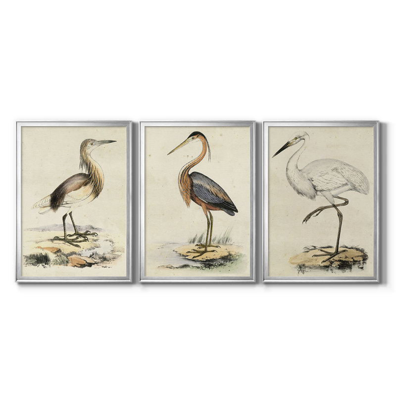 Antique Heron I - Toile tendue avec châssis sur mesure - 3 pièces, Argent argent, H 21 po x l 30 po