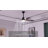 Felicitas 42'' Ceiling Fan with LED Lights-977036135-977036153