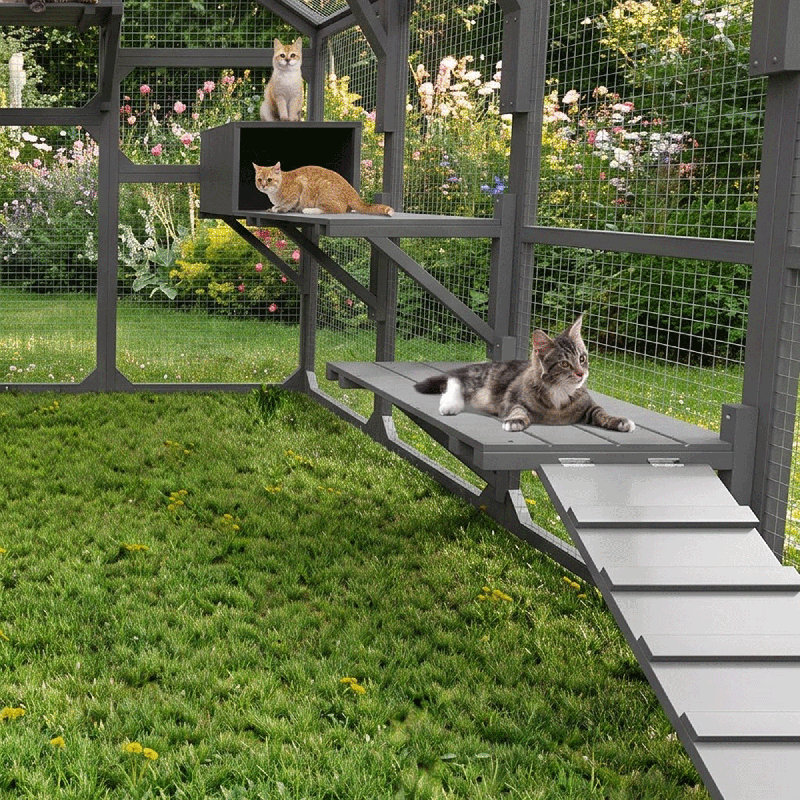Spacieuse cage d'extérieur en bois pour chat - Maison pour chat à plusieurs niveaux avec 7 plateformes, 2 condos et une porte pour plusieurs chats