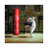 Gym Rat by Lucia Heffernan - Gallery-Wrapped Canvas Giclée on Canvas-2139904721-2139904720