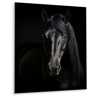 Portrait d'un cheval noir gracieux - cheval, art mural, salon