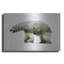 "Ours polaire arctique" par Davies Babies-1470214879